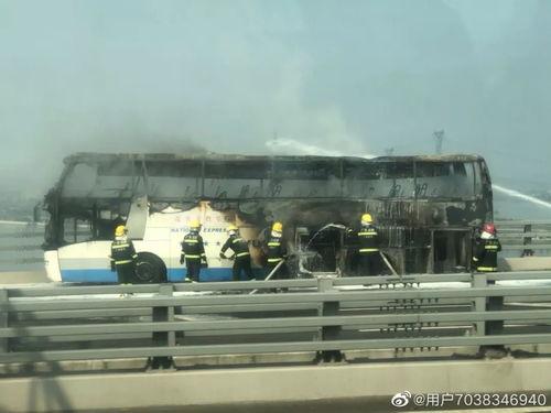 街坊爆料新闻视频,惊现新闻视频，揭秘事件真相