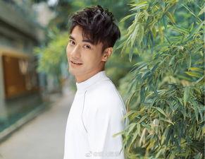 娱乐圈吃瓜爆料郑凯,揭秘明星背后的真相